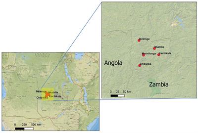 Understanding the Livelihood Implications of Reliable Honey Trade in the Miombo Woodlands in Zambia